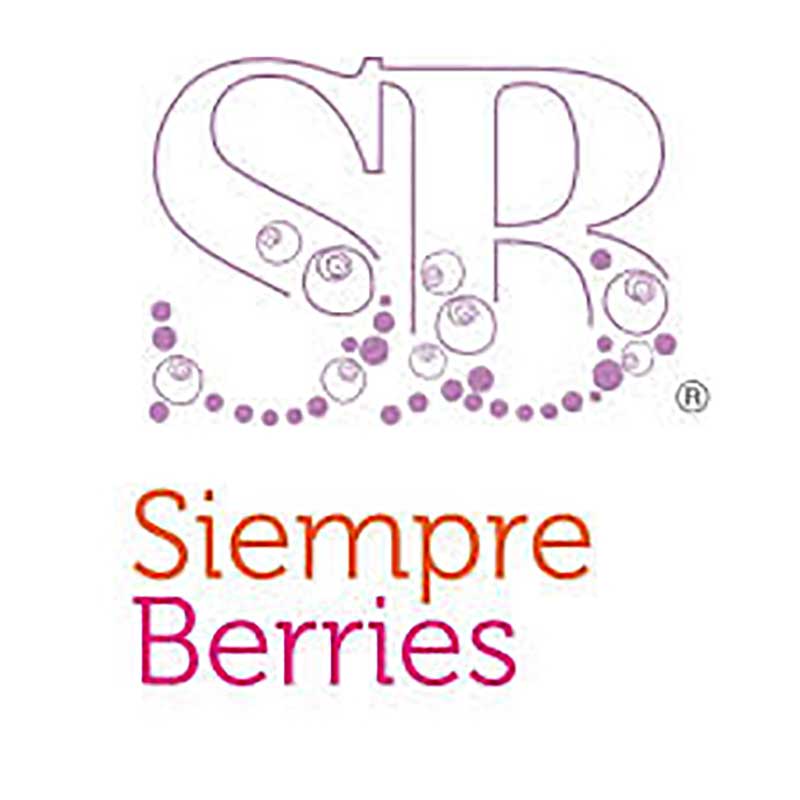 SIEMPRE BERRIES